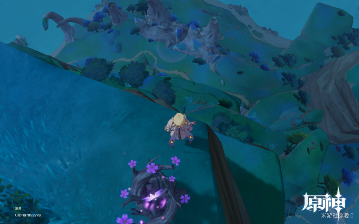 原神御伽木采集点2