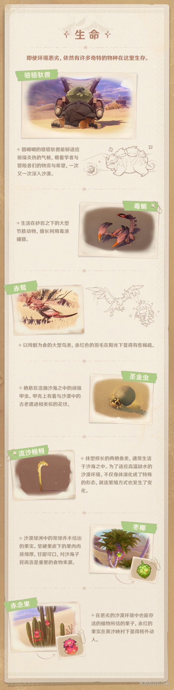 原神须弥沙漠简介2