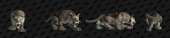 《魔兽世界》沙色夜刃豹获得方法2