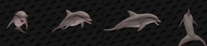 《魔兽世界》收藏向趣味物品挖掘8