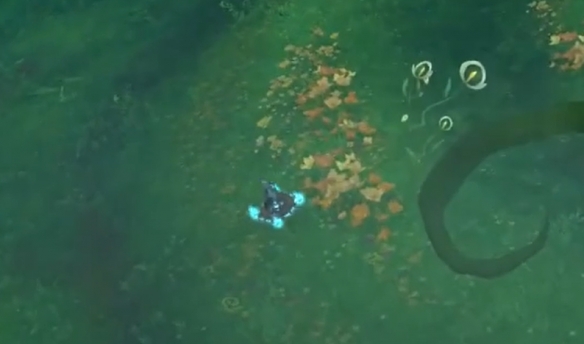 魔兽世界苏尔拉卡抓_魔兽世界苏尔拉卡抓什么宠物