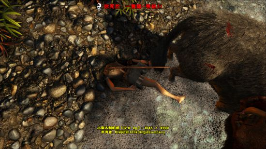 《ATLAS》新手启航准备流程11