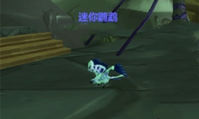 魔兽世界迷你鹦鹉_魔兽世界迷你鹦鹉在哪抓