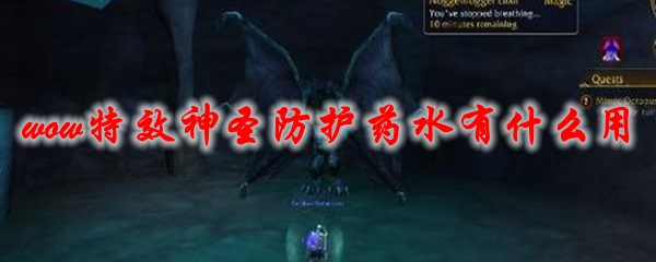 《魔兽世界》特效神圣防护药水有什么用1