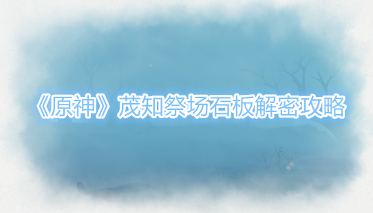 原神茂知祭场石板_元神茂才公在哪