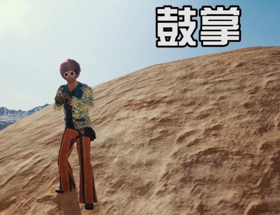 《绝地求生》表情大全4