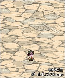 《DNF》天空巢穴独步起航礼盒宠物外观介绍4