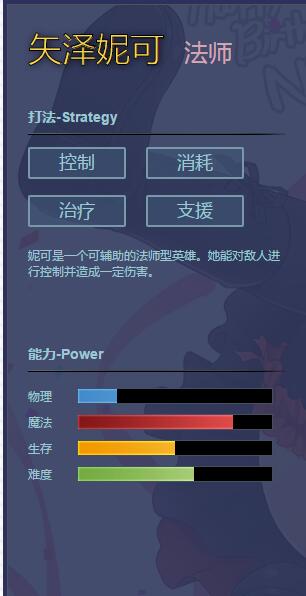 《幻想全明星》矢泽妮可介绍2