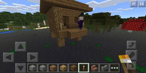 《我的世界》女巫小屋介绍1