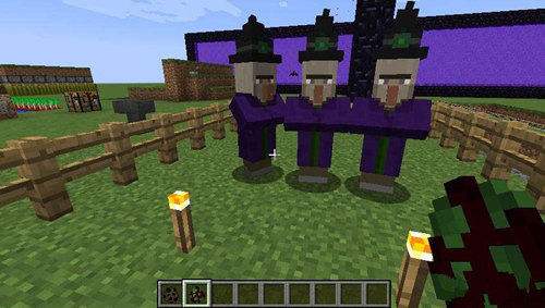 《我的世界》女巫小屋介绍2
