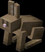 我的世界兔子怎么繁殖1