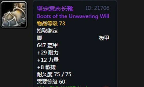 《魔兽世界》怀旧服安其拉防骑毕业装备掉落汇总13