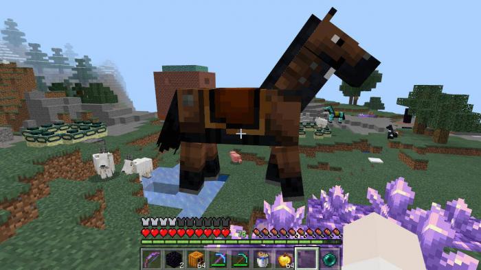 我的世界皮马铠甲有什么用2