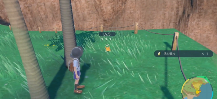 宝可梦朱紫布土拨哪里多1