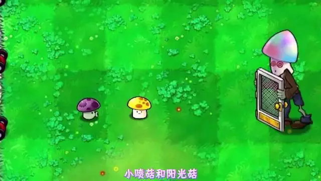 植物大战僵尸阳光菇怎么用1