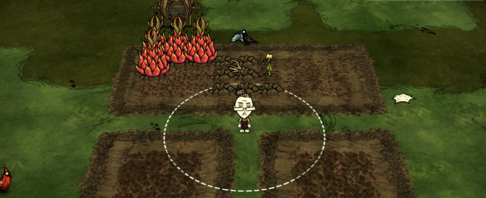 饥荒巨大化植物有哪些细节2