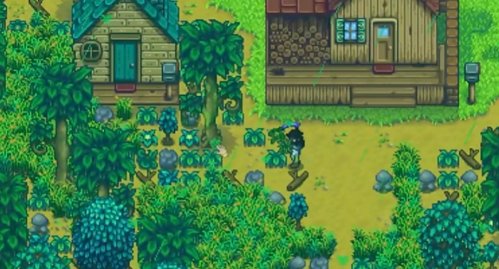 星露谷物语下绿雨怎么办2