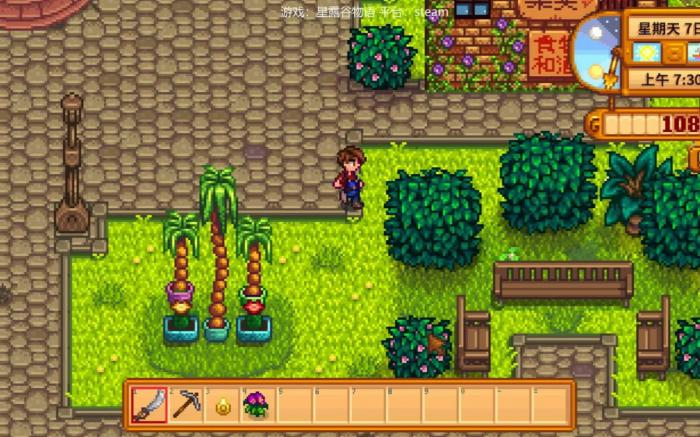 星露谷物语怎么能养鸡1