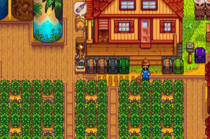 星露谷物语农场有什么样的玩法2