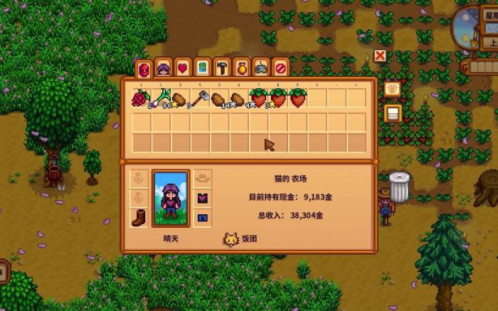 星露谷物语怎么领养孩子3