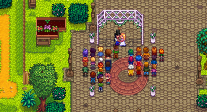 星露谷物语如何娶多个老婆3