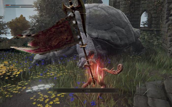 艾尔登法环乌龟老师剧情是什么3