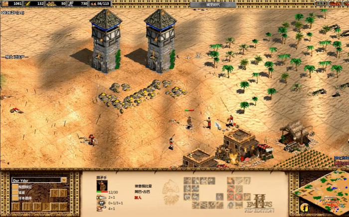 帝国时代2塔暴战术怎么玩4