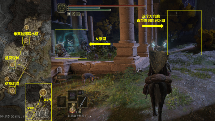 艾尔登法环菲雅长什么样1