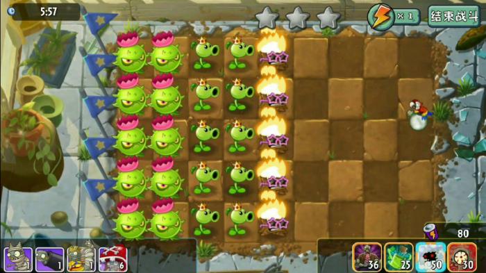 植物大战僵尸95版22