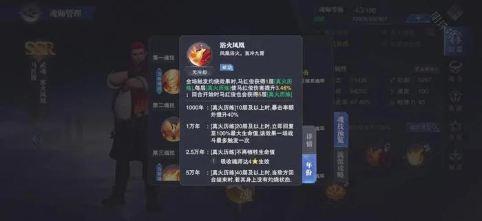 斗罗大陆阵容柳二龙推荐什么好3