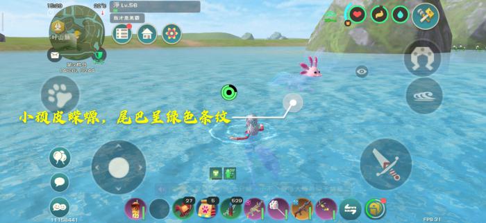 创造与魔法顽皮蝾螈如何捕捉3