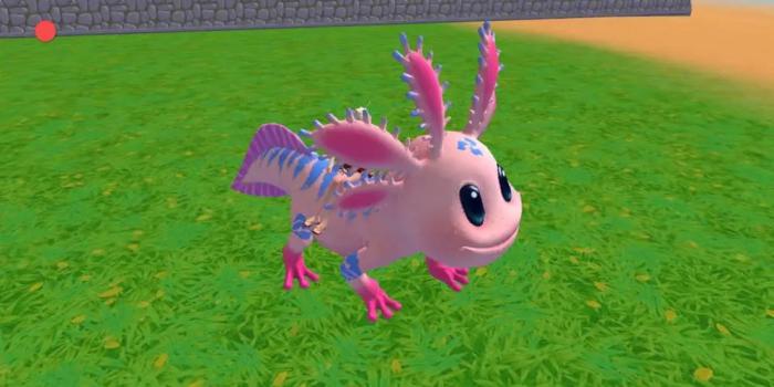 创造与魔法顽皮蝾螈战宠资质1