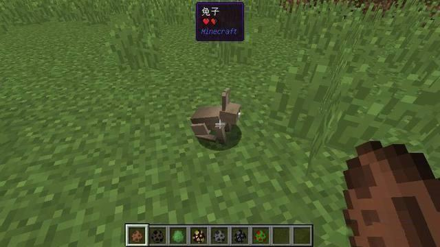 我的世界兔子有什么用2