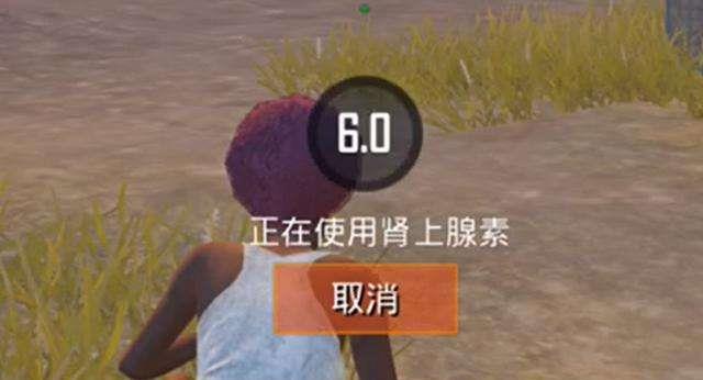 绝地求生肾上腺素有什么用2