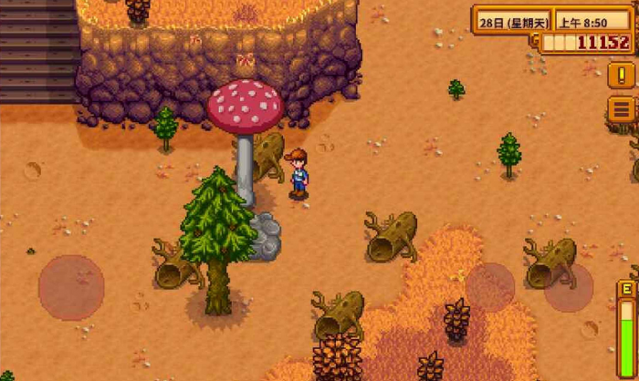 星露谷物语避雷针怎么放3