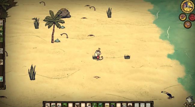 饥荒海滩区域如何建家发育1