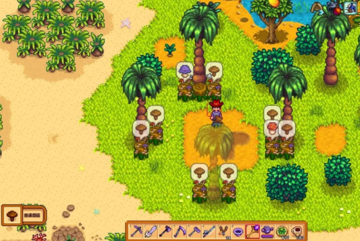 星露谷物语蘑菇树桩的产出有什么2