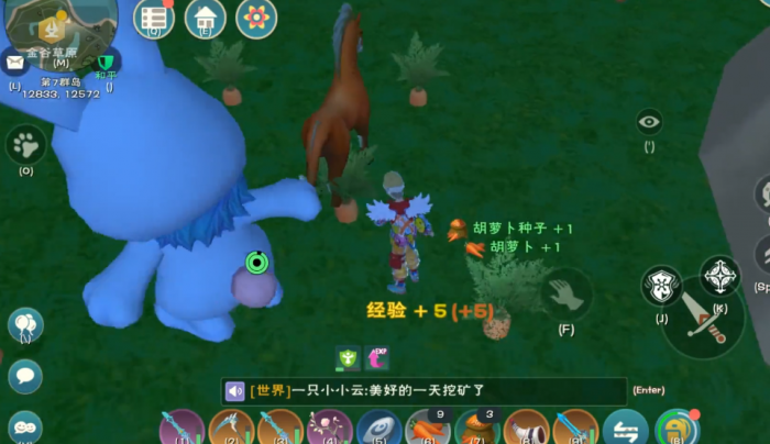 创造与魔法胡萝卜在哪里得2