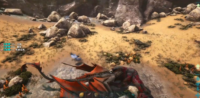 方舟生存进化元素飞龙怎么驯服3