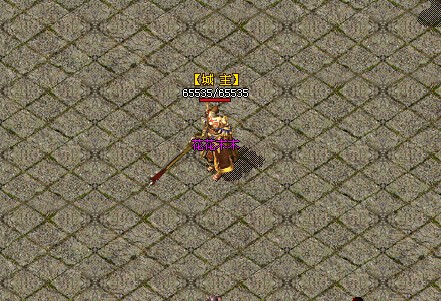 如何让城主头上显示城主_城主标识有什么用