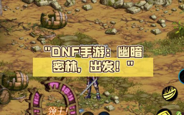 dnf冒险幽暗密林有多少阶段任务1