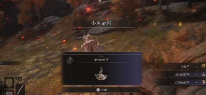 艾尔登法环一共多少露滴2