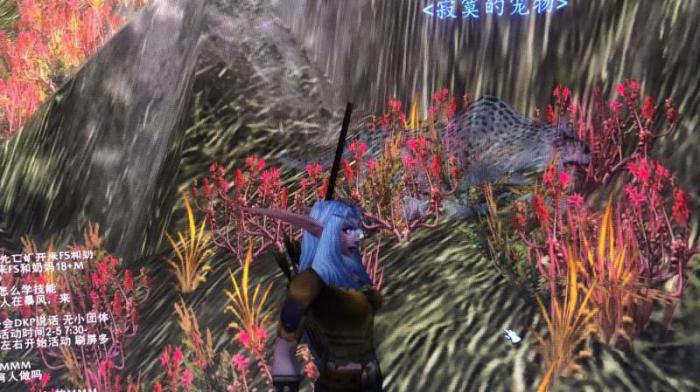 魔兽黑海岸幽灵豹多少级1