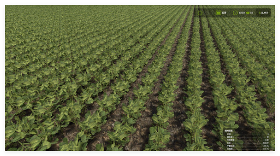 迷失岛4小屋实验二周目攻略10