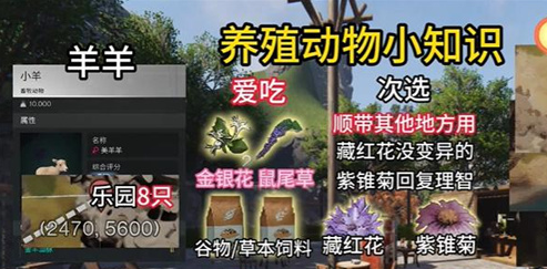 七日世界动物去哪里抓1