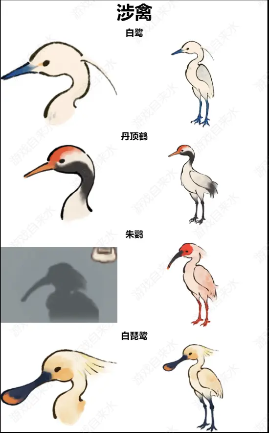 桃源深处有人家鸟类辨认有那些方法3