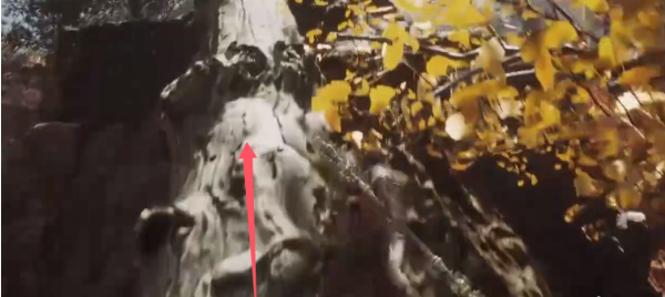 黑神话悟空日金乌怎么获取5