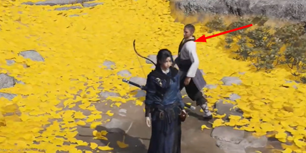 燕云十六声慈心山院本心妙善任务怎么完成4