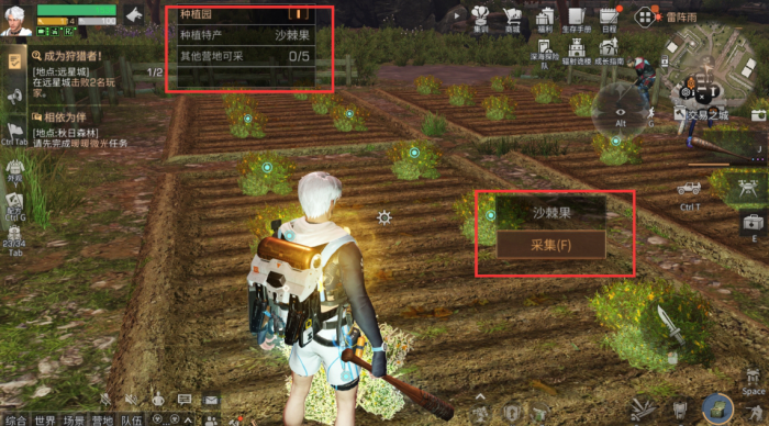 明日之后庇护城食物怎么获得3