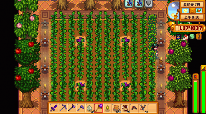 星露谷物语每个季节种什么作物2